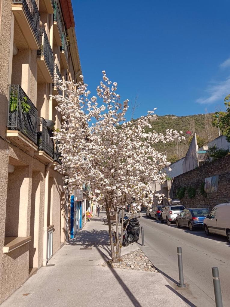 Ferienwohnung christiane cere Amélie-les-Bains-Palalda Exterior foto